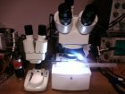 Niezbędne w naszej pracy badawczej mikroskopy stereoskopowe.